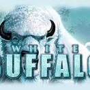 White Buffalo